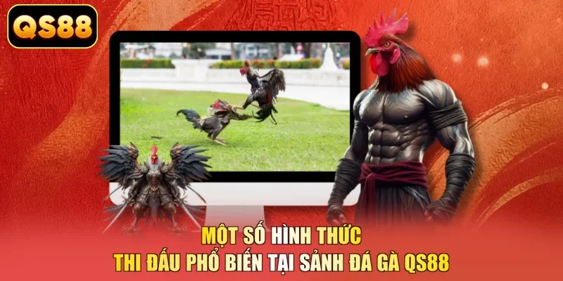 Một số hình thức thi đấu phổ biến tại sảnh đá gà QS88
