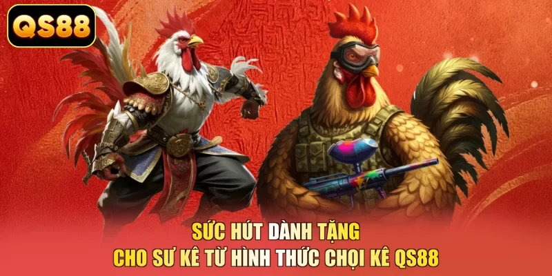 Sức hút dành tặng cho sư kê từ hình thức chọi kê QS88