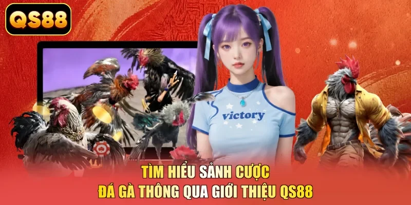 Tìm hiểu sảnh cược đá gà thông qua giới thiệu QS88